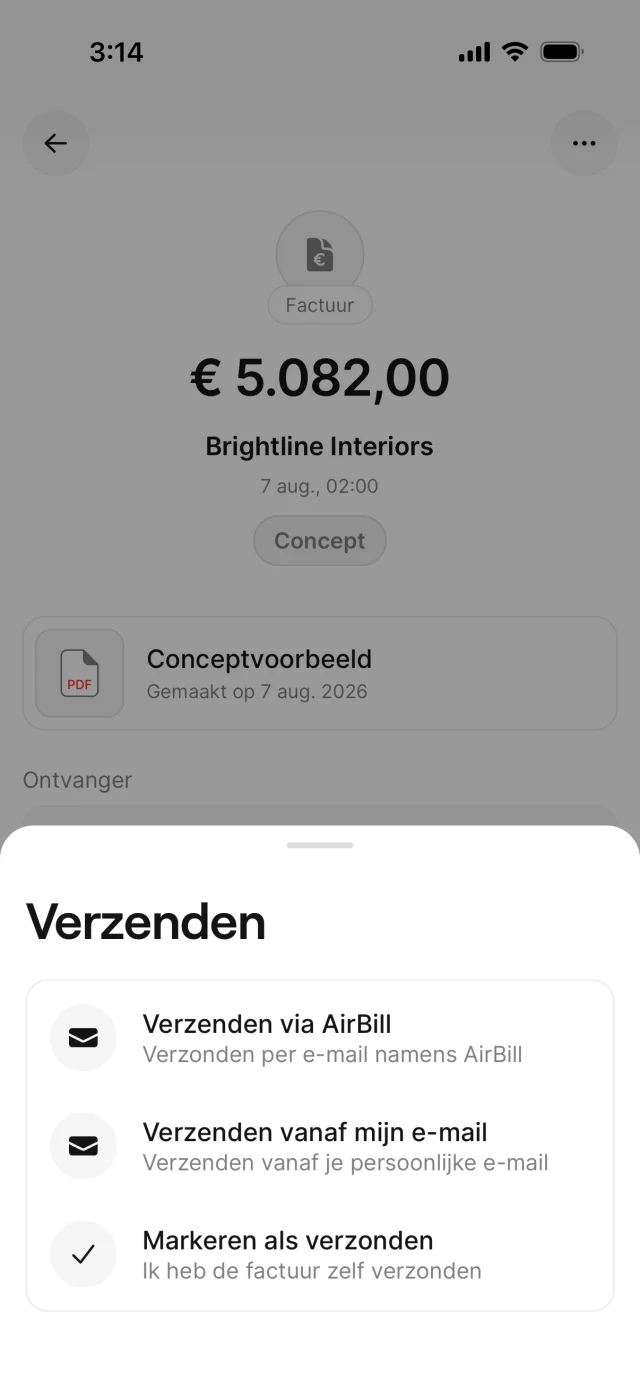 Controlescherm van de factuur met de verstuuropties